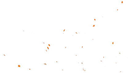 Abstract image of orange petals floating against a white background. Ideal for decorative, festive, or natural design concepts, showcasing delicate floral elements in soft, minimalist style.