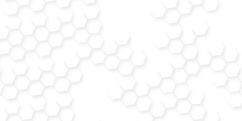 Dark hexagon wallpaper  geometric abstraction with lines and dots, White and light gray hexagon pattern on white background, geometric hexagonal honeycomb polygon science biology background. © MUHAMMAD TALHA