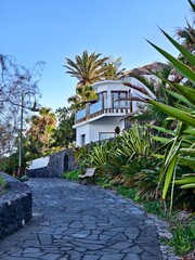 Romantic cobblestone alley between old houses and tropical vegetation in beautiful light, on the island of La Palma