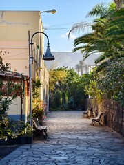 Romantic cobblestone alley between old houses and tropical vegetation in beautiful light, on the island of La Palma