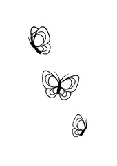 butterfly on a white background