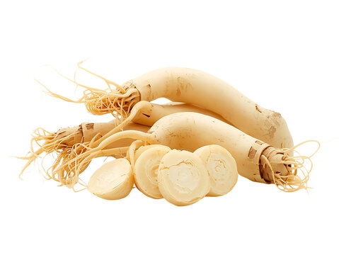Freshly harvested ginseng roots isolated on a white background