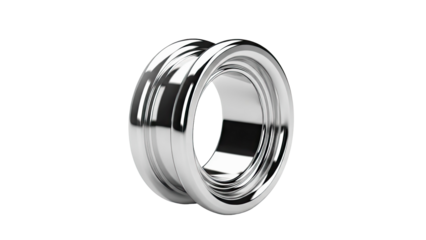 Shiny Silver Ear Tunnel