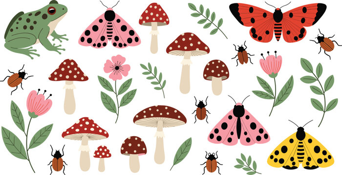 Forest nature vector set with mushrooms butterflies insects frog flowers and woodland wildlife illustrations isolated