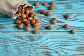 Hazelnuts Spilling from Burlap Sack on Blue Wood