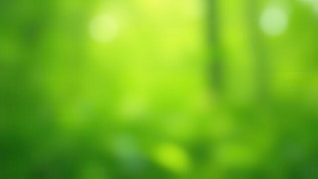 natural green background with selective focus and soft blurred foliage texture close up organic abstract backdrop with fresh spring atmosphere concept of advertising design eco business - Powered by Adobe