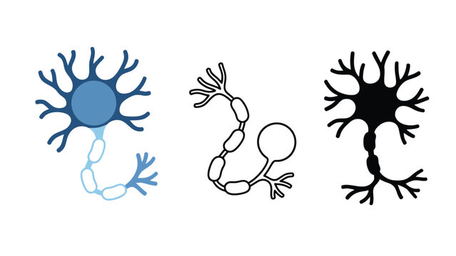 An illustration of neurons in different styles and colors on a white background