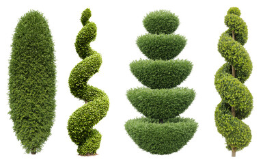 Elegant Topiary Garden Plants and Shaped Shrubs for Lush Greenery: A collection of meticulously crafted ornamental trees and bushes for landscaping projects.