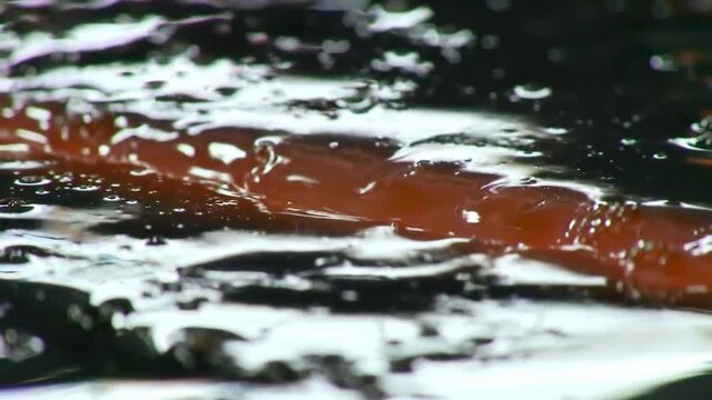 Close-up of salmon fillet poaching in simmering water with bubbles, cooking food.
