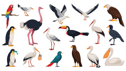 Fototapeta premium Large collection of different bird species including a colorful parrot penguin ostrich eagle and several common water birds.