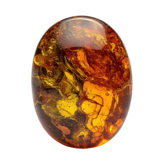 Polished, egg-shaped cabochon of fossilized tree resin with internal organic inclusions