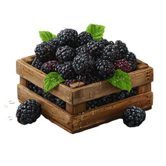 Wooden crate overflowing with ripe, juicy, dark purple berries and green leaves
