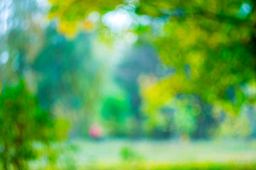 Blurred image with bokeh effect of summer nature state in city park.