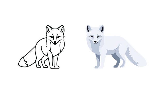 Simple vector illustration set displaying both the outline and the fully colored geometric design of a cute arctic fox standing
