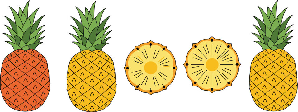 Cute potted cactus and succulent plant collection vector illustration set featuring colorful pots and hand drawn indoor houseplant designs