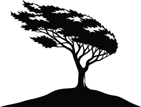 Windblown tree silhouette Vector