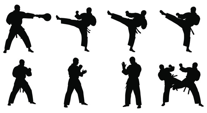 Dynamic martial arts poses depicted in stark black shapes a striking silhouette