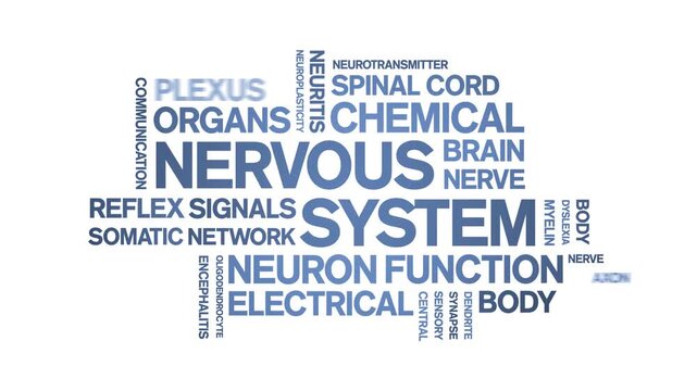 Nervous System animated word cloud-text design animation tag kinetic typography seamless loop.