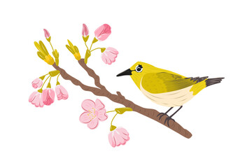 Japanese White Eye Bird Perched On Cherry blossom branch. Vibrant spring scene in cartoon vector isolated. Cute childrens animal illustration.