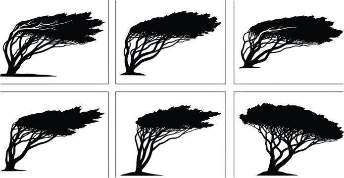 Set of six unique windblown tree silhouettes Vector