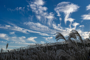 生石高原の夕暮れ