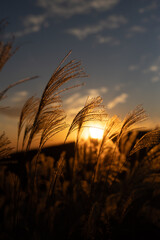 生石高原の夕暮れ