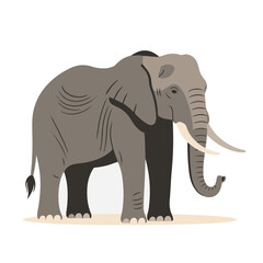 Fototapeta premium cute baby elephant , flat design, vector illustration, isolated on white backgrond