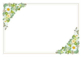 押し花と金枠のボタニカルフレーム 横長 バナーサイズ 透過背景（ユーカリ・デイジー・白・緑）
