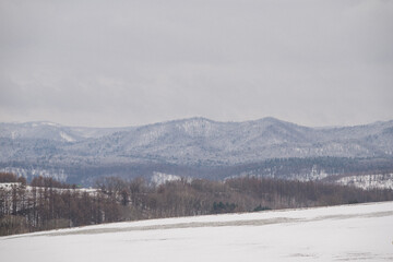Fototapeta premium SNOW COVERED LANDSCAPE IN WINTER
