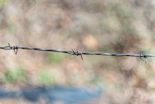 Barbed Wire Close-Up with Blurred Background