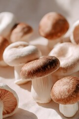 fresh mushrooms isolated on white background