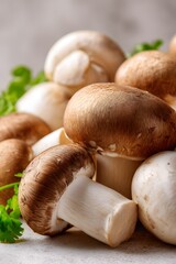 fresh mushrooms isolated on white background