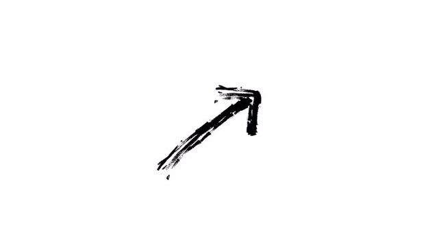 hand-drawn arrow marker icon animation. 4k Animated hand-drawn brush stroke arrows on transparent background.