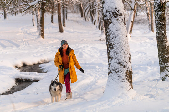 Asian woman walking a husky dog on a leash in a snowy winter