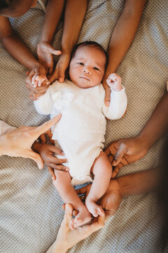Multiracial black newborn baby and family hands around