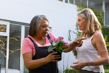 Diverse senior friends holding black plastic pot pointing and discussing flowers on home patio