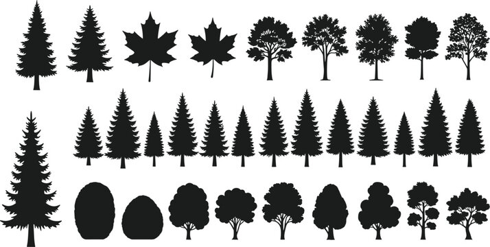 Collection of black vector tree silhouettes featuring pine, spruce, oak, maple leaves and bushes isolated icons for forest nature design.