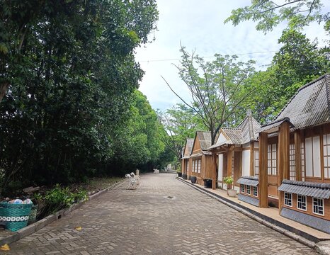 Hinoki Karamatsu Kashi wood is a primary material for Japanese house construction due to its earthquake resistance, ability to regulate humidity, and spiritual connection with nature using precision n