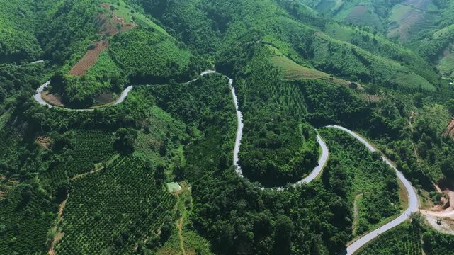 Aerial View of Dak Nue Pass Winding Through Lush Highlands, Dak Lak, Vietnam
the winding asphalt road cutting through dense tropical forests and agricultural plantations in the Central Highlands