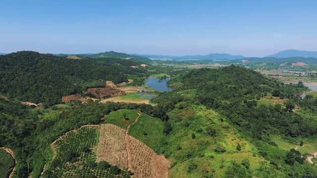 erial View of Agricultural Plantations and Natural Forest in Dak Lak Highlands
the vast coffee and rubber plantations characteristic of Vietnam's "Coffee Capital" surrounding the mountain pass
