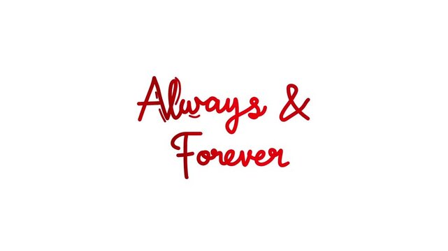 always and forever One line continuous animated typography intro outro animation video, hand drawn calligraphy monoline lettering vintage text on background single line art red type on white backdrop 