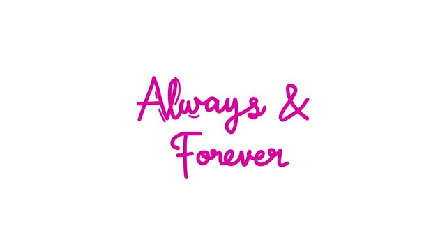 always and forever One line continuous animated typography intro outro animation video, hand drawn calligraphy monoline lettering vintage text on background single line art pink type on white bg backd