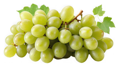 Juicy cluster of fresh light green seedless grapes featuring vibrant leaves and attached stem on transparent background