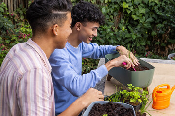 Two male friends filling planter with soil, planting seedlings at backyard table