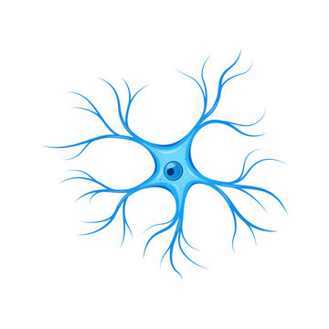 Astrocyte vector. Cell of neuroglia. isolated on white background