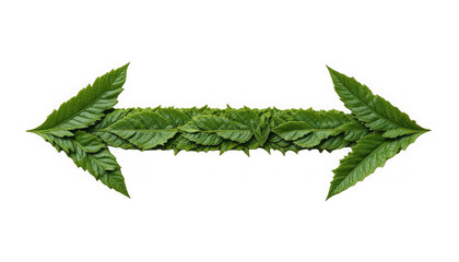 Green natural leaf arrow shape pointing left and right symbolizing direction environmental choice or duality concept on transparent background