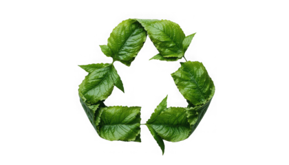 Vibrant green organic leaves meticulously arranged forming a universal symbol for ecological reuse and conservation on transparent background