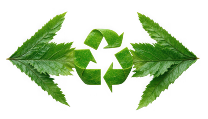 Vibrant green recycling symbol meticulously formed from natural foliage leaves suggesting ecological conservation efforts on transparent background