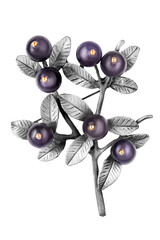 Silver brooch isolated