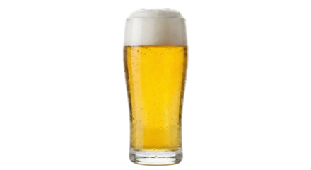 Golden Lager Beer in Tall Glass with Frothy Head and Bubbles isolated on transparent background